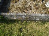 image of grave number 313051